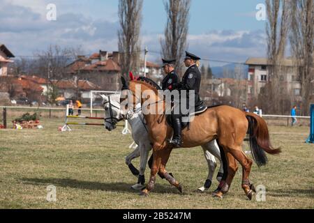 Sofia, Bulgarien - 03. März 2020: Reit-Ostern oder Todor-Tag in Bulgarien, Polizisten, die Pferde im Urlaub fahren. Sprung zu Pferd. Stockfoto