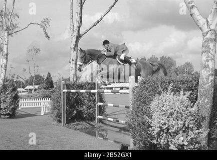 Europameisterschaften, Hickstead, August 1999 Peter Postelmans (BEL) Reiten Maloubet Stockfoto