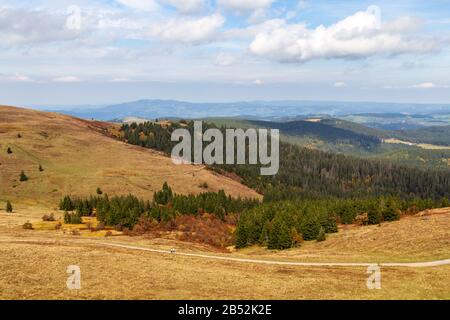 Blick vom Feldbergturm auf die Landschaft des Schwarzwaldes im Herbst Stockfoto