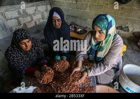 Palästinensische Frauen, die in einer Erdnussfabrik, "Pistachio", arbeiten, werden morgen am 7. März 2020 internationaler Frauentag im Gazastreifen sein. Stockfoto