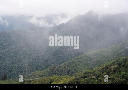 Ecuador Hochland Wolkenwald, Mindo Region, Bellavista Reserve Stockfoto