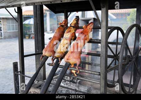 Cuy, Meerschweinchen, geröstet für Essen Quito Ecuador Stockfoto