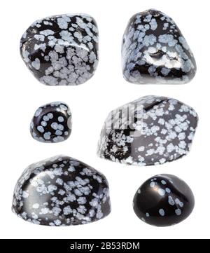 Satz verschiedener Snowflake Obsidian Edelsteine isoliert auf weißem Hintergrund Stockfoto