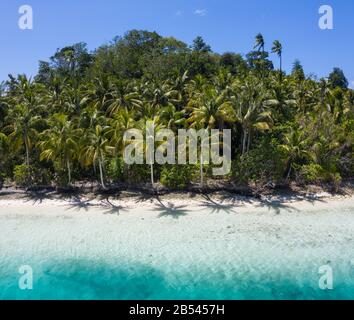 Ein abgelegener, weißer Sandstrand, der von Kokospalmen beschattet ist, ist von klarem, warmem Wasser in Raja Ampat, Indonesien, umgeben. Dieses tropische Gebiet ist wunderschön. Stockfoto