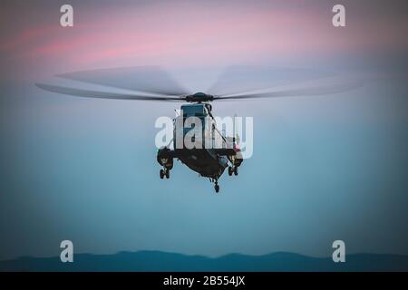 ABBOTSFORD, BC - 11 2016. AUGUST - Kanadischer Seekönig schwebt in der Dämmerung Stockfoto