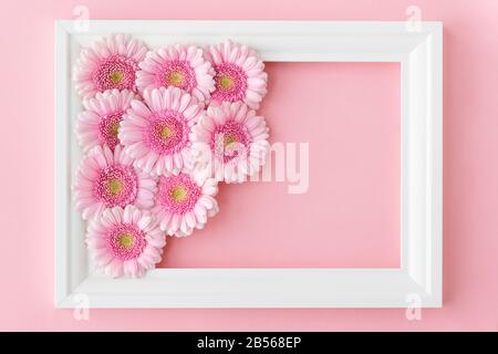 Flacher, weißer Rahmen mit rosa Blumen gerberas auf pastellrosa Hintergrund, Kopierbereich. Fröhlicher Muttertag, Frauentag, Valentinstag oder Geburtstag Stockfoto