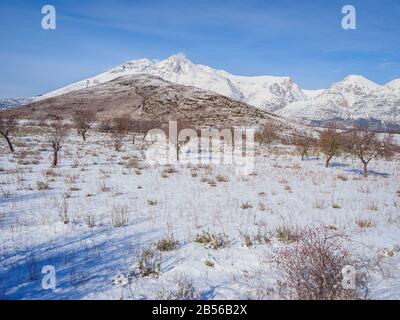 Das Tal des Monte Velino mit Olivenbäumen im Winter. Das Naturschutzgebiet liegt im Apenningebirge der Abruzzen, Provinz L'Aquila in Mittelitalien Stockfoto