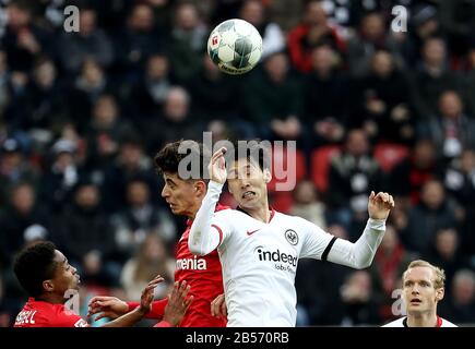 Leverkusen, Deutschland. März 2020. Kai Havertz (2. L) von Leverkusen viert mit Kamada Daichi (2. R) aus Frankfurt bei einem Bundesliga-Spiel zwischen Bayer 04 Leverkusen und Eintracht Frankfurt am 7. März 2020 in Leverkusen. Credit: Joachim Bywaletz/Xinhua/Alamy Live News Stockfoto