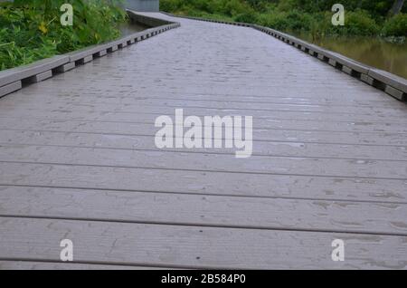 Nasser Boardwalk Pfad oder Pfad mit Pflanzen oder Gräsern Stockfoto