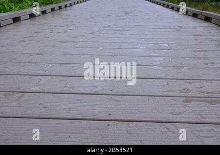 Nasser Boardwalk Pfad oder Pfad mit Pflanzen oder Gräsern Stockfoto