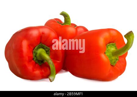 Bild von drei roten Paprika auf weißem Hintergrund Stockfoto