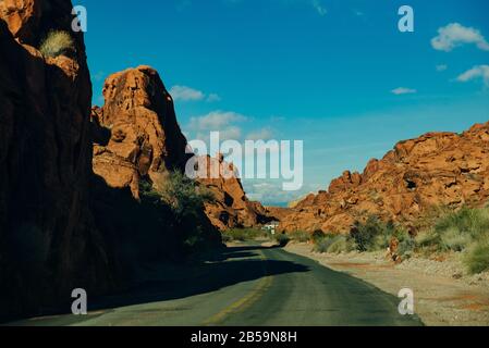 Panoramablick auf den Fire Canyon Silica Dome im Valley of Fire State Park, Nevada, Vereinigte Staaten Stockfoto