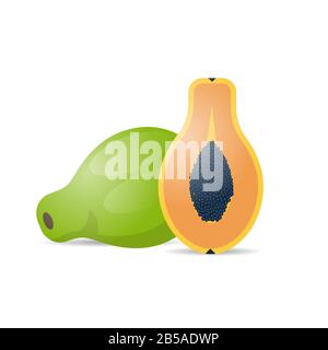 Frische saftige Papaya-Ikone leckere reife Früchte isoliert auf weißem Hintergrund gesundes Essen Konzept Vektor-Illustration Stock Vektor