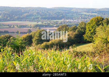 Maispflückfelder, in der Nähe von Westerham, Kent, England Stockfoto