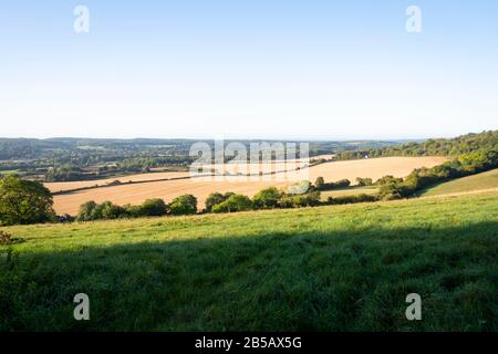 Felder mit Maispflückvorsatz und Weide, in der Nähe von Westerham, Kent, England Stockfoto