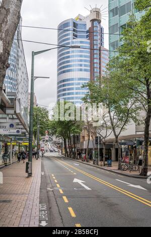 Wellington, NEUSEELAND - 13. November 2019: Stadtbild mit hohen modernen Gebäuden an einer von Bäumen gesäumten Handelsstraße in der Innenstadt, in strahlend bewölktem sp Stockfoto