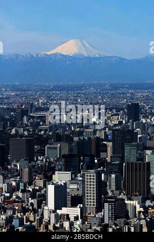 Blick auf das Zentrum Tokios und den Fuji vom Tokyo Sky Tree Stockfoto