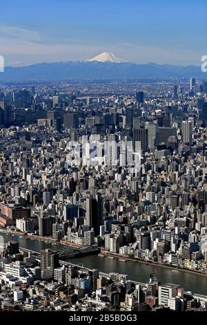 Blick auf das Zentrum Tokios und den Fuji vom Tokyo Sky Tree Stockfoto