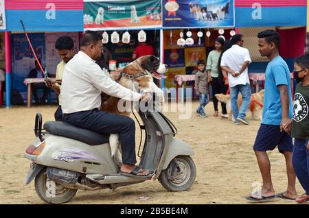 Nagaon, Assam/Indien - 08. März 2020: EIN Hundebesitzer mit seinem Haustier kommt auf einem Roller an, um an der 2. Nagaon Dog Show 2020 teilzunehmen Stockfoto