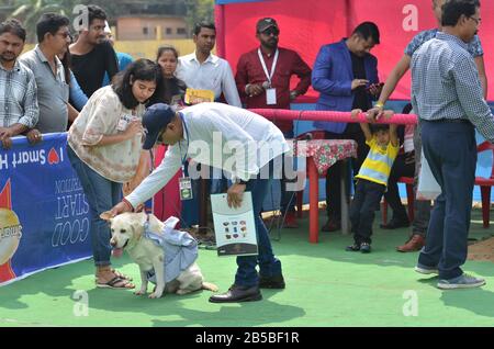 Nagaon, Assam/Indien - 08. März 2020: Der Richter untersucht einen Hund während des vom Royal Pet Club organisierten Wettbewerbs auf der 2. Nagaon Dog Show 2020 Stockfoto