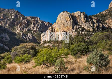 The Fingers, Cave Creek Canyon Behind, Blick vom Silver Peak Trail, Chiricahua Mountains, Coronado National Forest, Arizona, USA Stockfoto