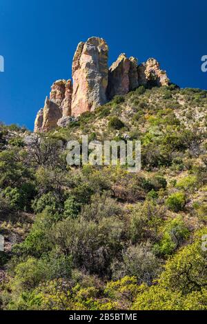 Die Finger, Blick vom Silver Peak Trail, Chiricahua Bergen, Coronado National Forest, Arizona, USA Stockfoto