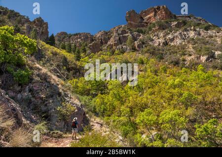 Wanderer am Silver Peak Trail, Chiricahua Mountains, Coronado National Forest, Arizona, USA Stockfoto