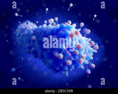 Bakteriophagen infiziert Bakterium, Abbildung Stockfoto