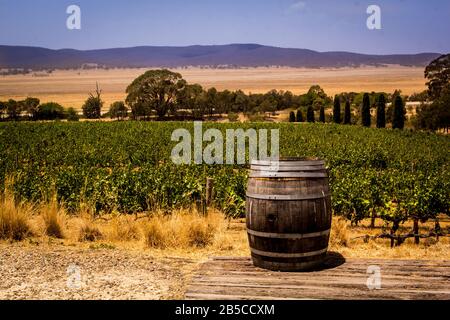 Altes Holzfass im Weinberg, Australien Stockfoto