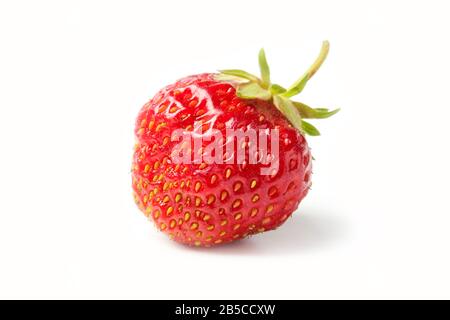Reife Erdbeere isoliert auf weißem Stockfoto