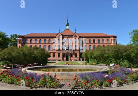 Krankenhaus-Koenigin Elisabeth Herzberge, Herzbergstrasse, Lichtenberg ...