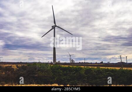 Windparks auf einem Feld in Estland bei bewölktem Wetter Stockfoto