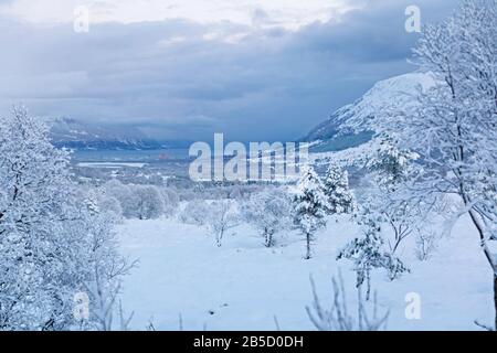 Die Stadt Hareid, Norwegen im Winter. Stockfoto