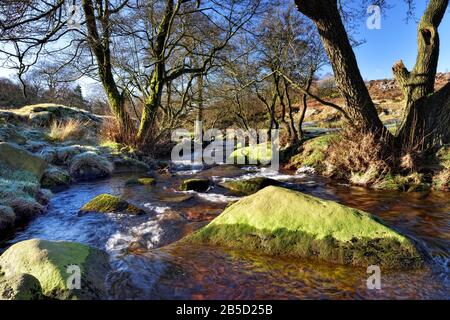 Burbage Brook, Padley Gorge Trail, Peak District National Park, Longshaw Estate, Derbyshire, England, Großbritannien Stockfoto