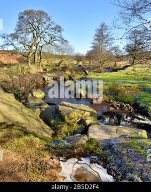 Burbage Brook, Padley Gorge Trail Peak District National Park, Longshaw Estate, Derbyshire, England, Großbritannien Stockfoto