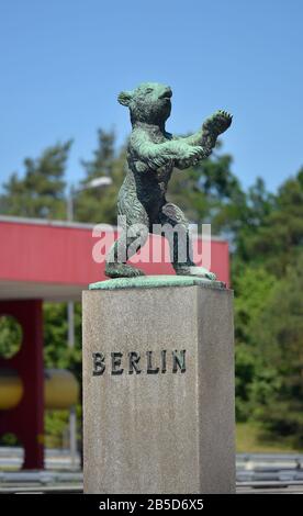 Berliner Baer, Dreilinden, Zehlendorf, Berlin, Deutschland/Bär Stockfoto