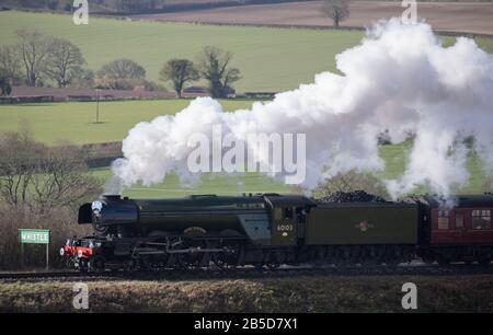 Der Flying Scotsman macht es auf dem Weg entlang der Watercress Line der Mid Hants Railway in der Nähe von Rotley in Hampshire. Stockfoto