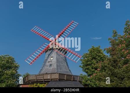 Pirsch Mühle, Windmühle im Dorf Hamfelde, Kreis Lauenburg, Schleswig-Holstein, Norddeutschland, Mitteleuropa, Stockfoto