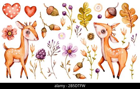 Niedliches Kinderhirsch. Wald Aquarell Baumschule Cartoon Wald Tiere Hirsche, Wald Blumen Blätter. Schmückende Baumschulen, auf weißem Rücken isoliert Stockfoto