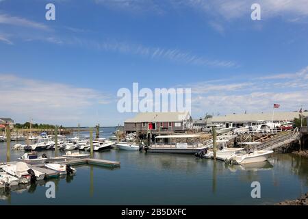 Blick auf Barnstable Harbour, Cape Cod, Massachusetts, USA Stockfoto