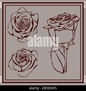 Drei elegante, handgezeichnete dunkelrote Rosen auf grauem Hintergrund Stock Vektor