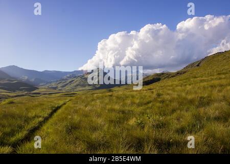 Ein kleiner Weg, der durch ein afroalpines Grasland in Richtung Berge in der Ferne führt, fotografiert in Logeni, Drakensberg, Südafrika Stockfoto