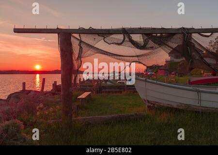 Marina von Maasholm, eine kleine Fischergemeinde an der Schlei Fjord, Ostsee, Schleswig-Holstein, Norddeutschland, Europa, Stockfoto