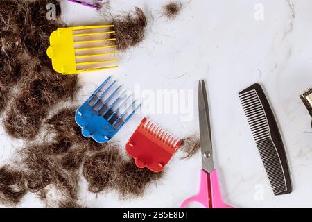 Zubehör Haarschneider auf einem gestutzten Haufen geschnittener Haare auf einer Schere und einem Kammaufsatz Stockfoto