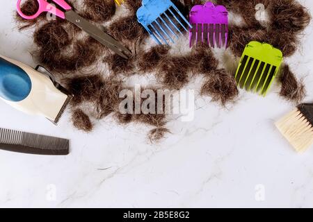 Haarschneider für Männer und Bärte, Schere, verschiedene Schnittlauch, Kämme auf einem gestutzten Haufen geschnittener Haare Stockfoto