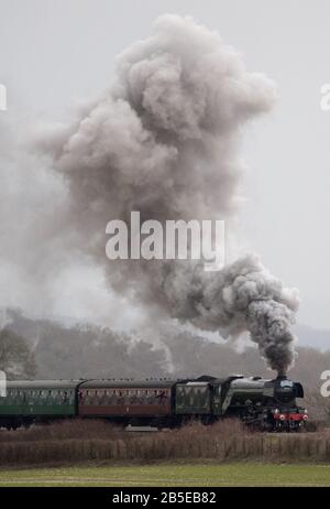 Dampflok 60103 The Flying Scotsman macht es sich auf den Weg entlang der Watercress Line der Mid Hants Railway zwischen Rotley und Alton in Hampshire. Stockfoto