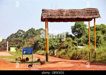 Kichumbanybo-Tor im Murchison Falls National Park in Uganda Stockfoto