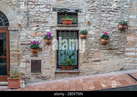 Eine Gebäudemauer in der Straße der Altstadt von Assisi. Fenster und Türen sind mit Zierstein ausgeführt. Blumen in den Töpfen im w Stockfoto