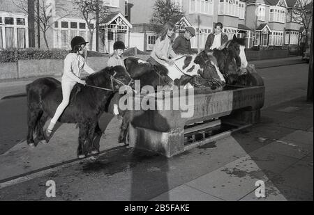 In den 1970er Jahren, historisch, halten Jugendliche auf Pferden und Ponys in einer ehemaligen Wasserrinne aus Stein, die im Jahre 1888 errichtet wurde, um ihren Tieren während eines heißen Sommers Erfrischung zu geben, South London, England. Im Laufe des Jahrzehnts waren einige der Sommer extrem heiß. Stockfoto