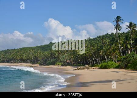 Amanwella Beach, Tangalle, Sri Lanka Stockfoto